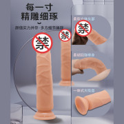 BAILE 超柔軟爆筋帶吸盤假陽具 25cm