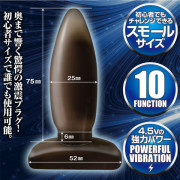 SECRET PLUG MASTER POWER 後庭震動器 Ver.1